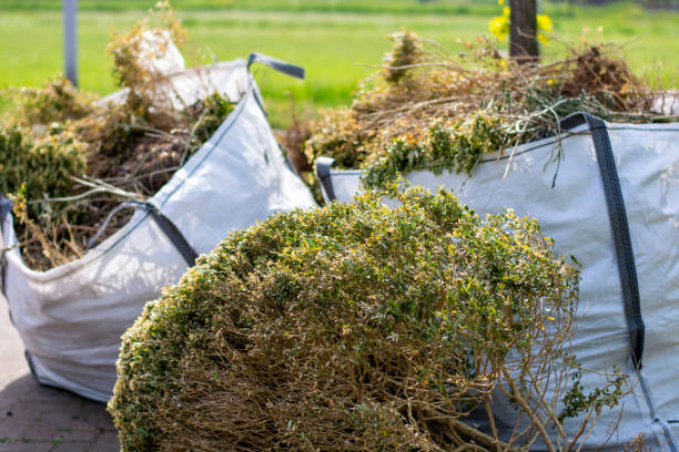 Best Household Junk Removal  in Martinsville, VA